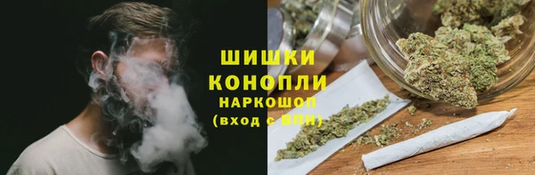 мдпв Горнозаводск