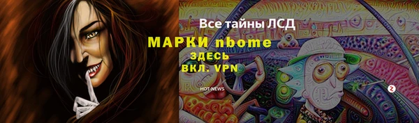 мдпв Горнозаводск