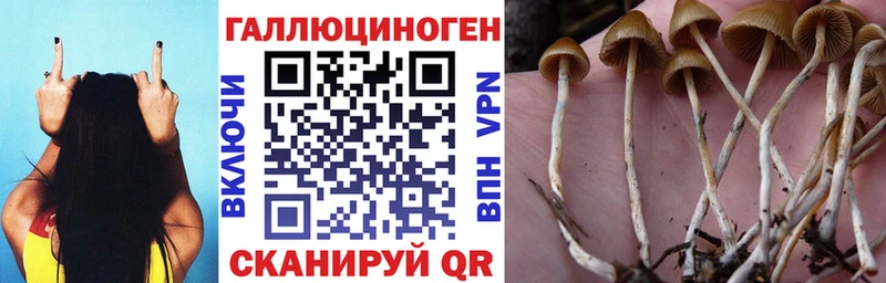 Галлюциногенные грибы MAGIC MUSHROOMS Невель